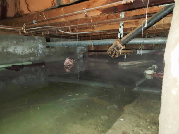 Best Emergency water damage restoration  in Gladstone, OR