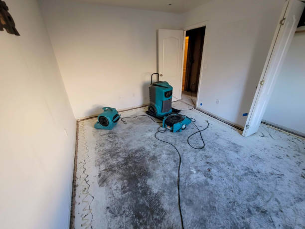 Best Ceiling water damage repair  in Gladstone, OR