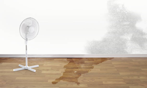 Best Water damage restoration company  in Gladstone, OR