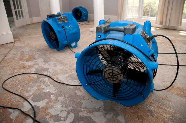 Best Fire Damage Restoration  in Gladstone, OR