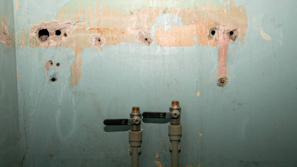 Best 24-hour water damage restoration  in Gladstone, OR