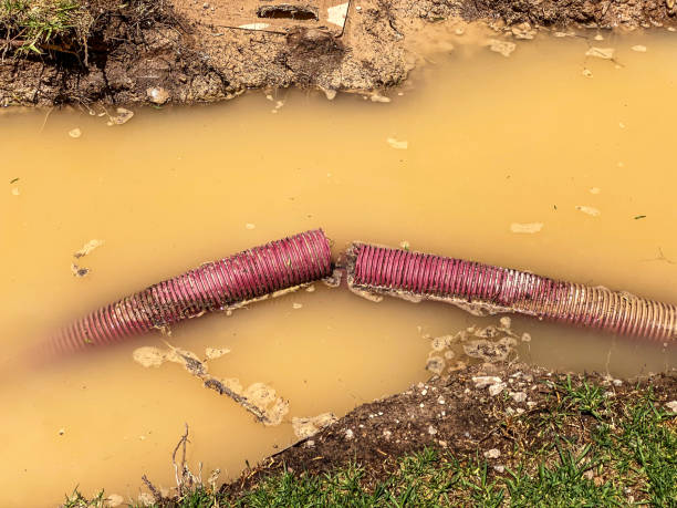 Best Flood restoration services  in Gladstone, OR