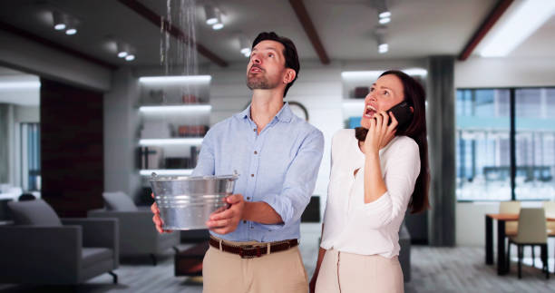 Best Carpet water damage restoration  in Gladstone, OR