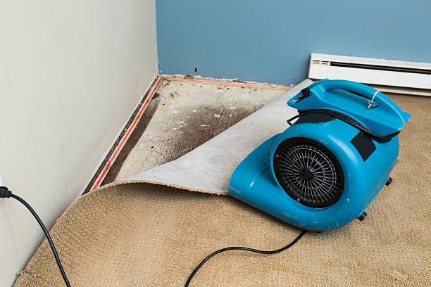 Best Residential water damage restoration  in Gladstone, OR